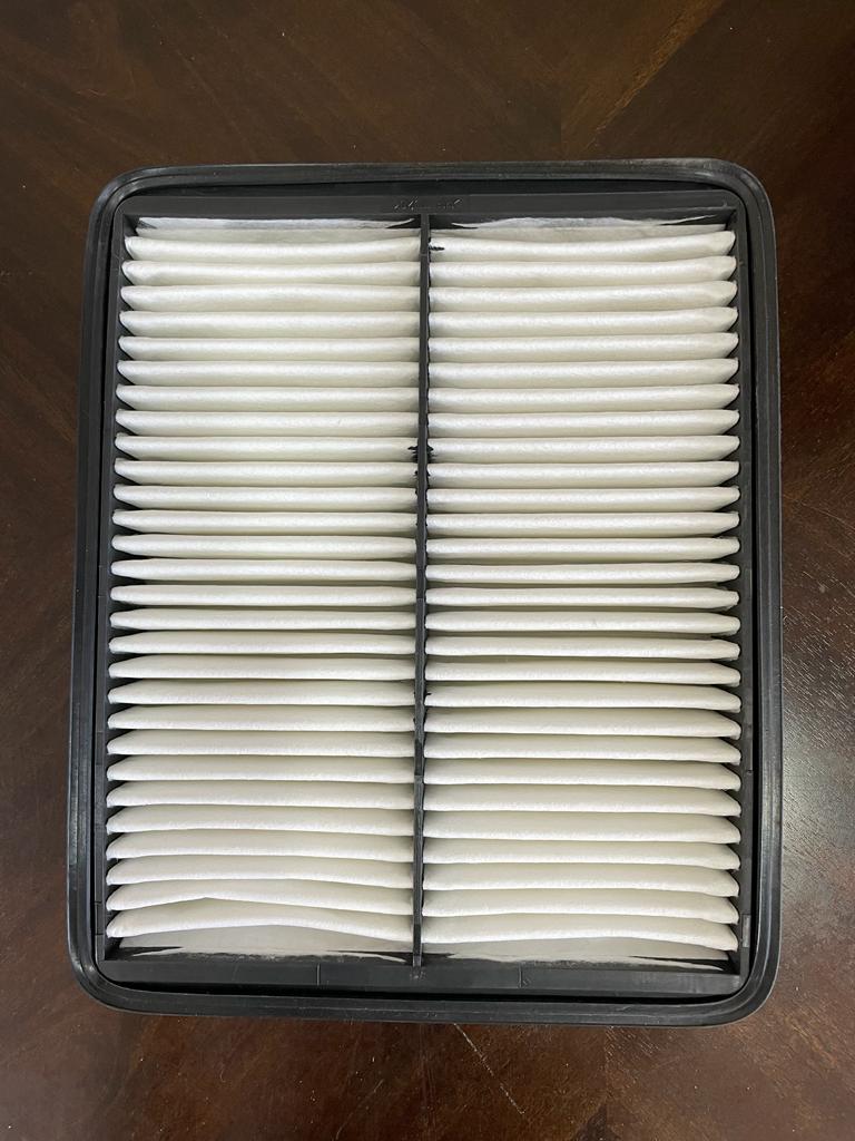 Pack of 2 Cleaner Air Filter Compatible with Hyundai Sonata AF1495