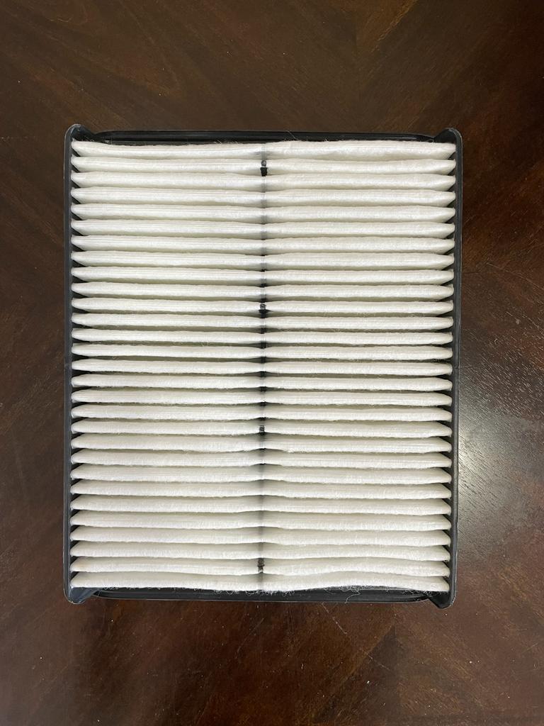 Pack of 20 Cleaner Air Filter Compatible with Hyundai Sonata AF1495